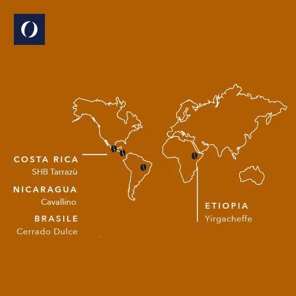 Origini del caffè presente nella miscela