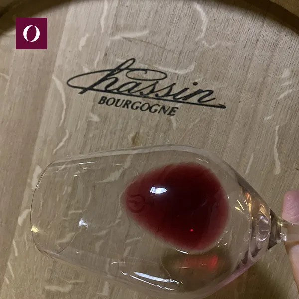 Gli-Ormesini-Koji-caffe-affinato-in-pinot-nero-borgogna-barrique