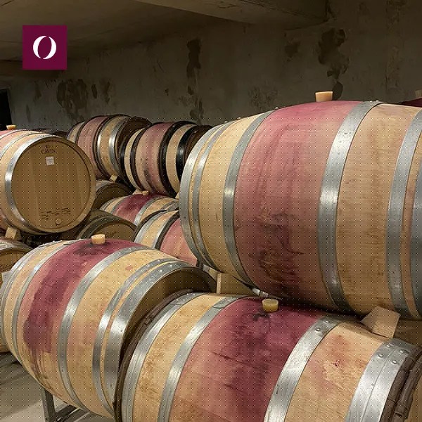 Gli-Ormesini-Koji-caffe-affinato-in-pinot-nero-borgogna-cantina-interno-barrique