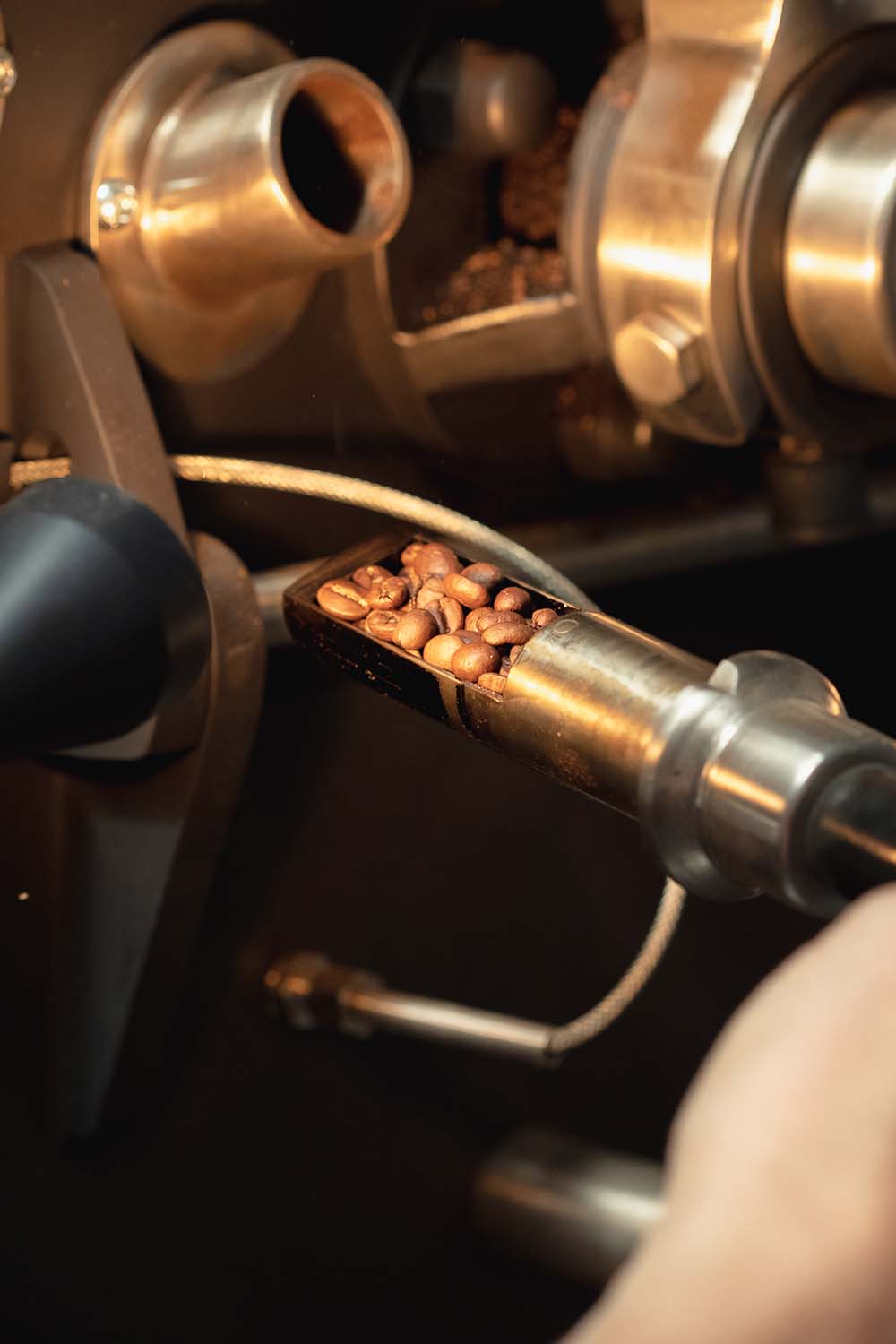 San Josè in capsule